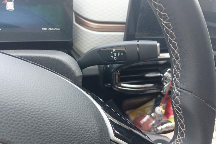 Used SOL E10X 2021 302 km Range Luxury Version 31.4 kWh Gear Lever
