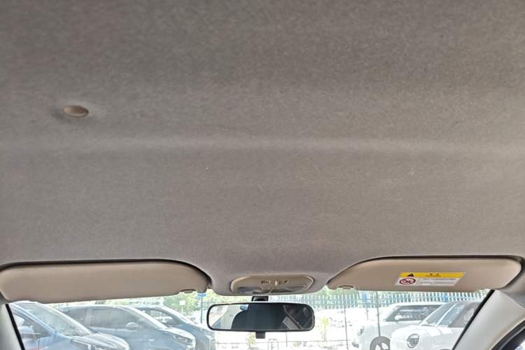 Used SOL E10X 2021 150 km Ambitious Trim Headliner