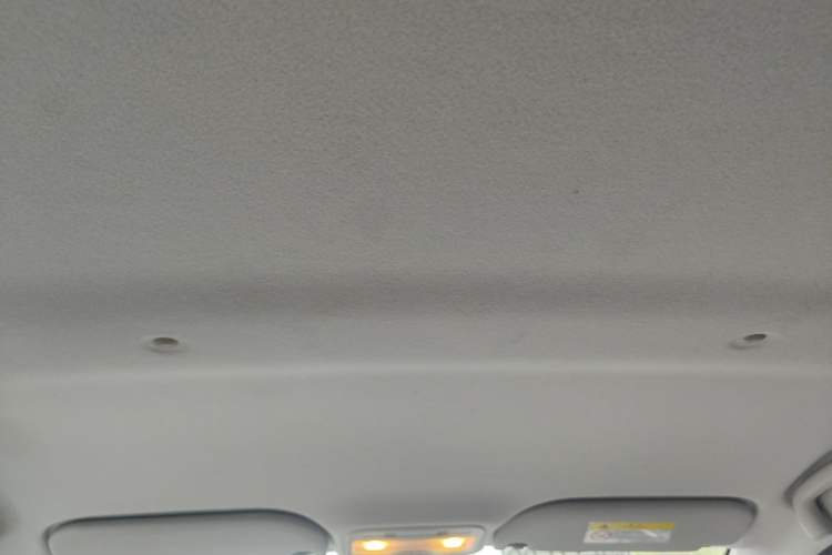 Used SOL E10X 2021 302 km Range Fashion Edition 31.4 kWh Headliner