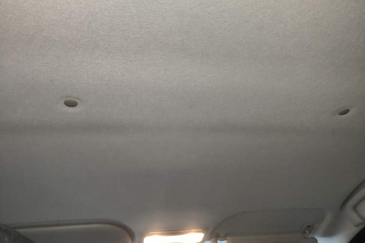 Used SOL E10X 2021 302 km Range Luxury Version 30.2 kWh Headliner