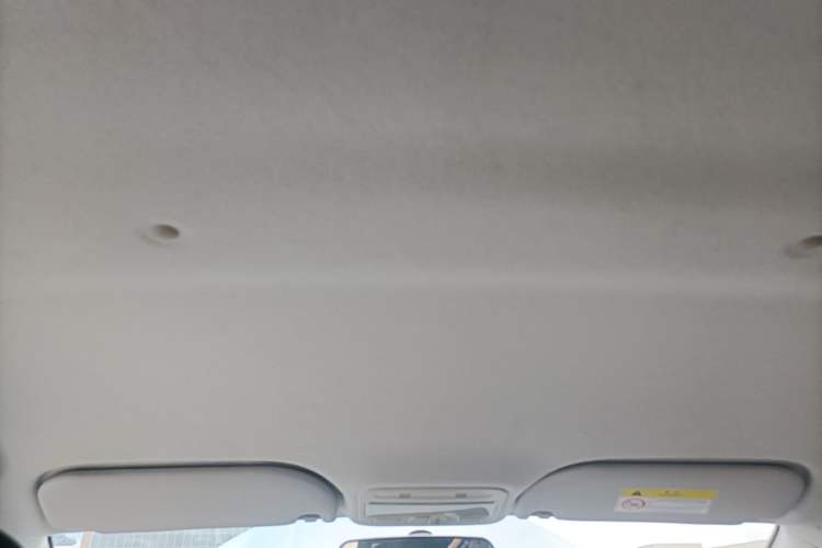 Used SOL E10X 2021 302 km Range Luxury Version 31.4 kWh Headliner