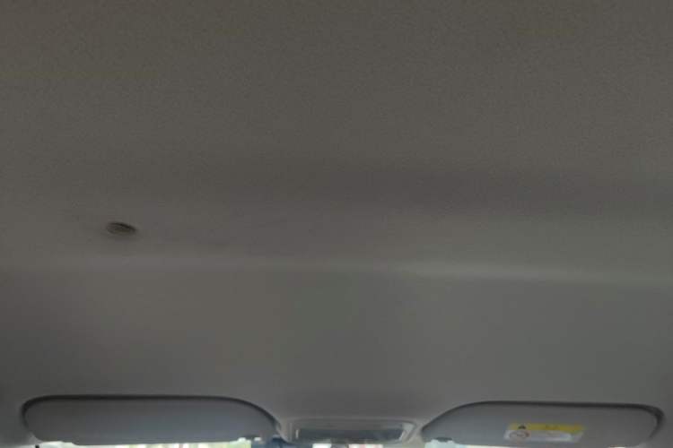 Used SOL E10X 2021 302 km Range Luxury Version 30.2 kWh Headliner