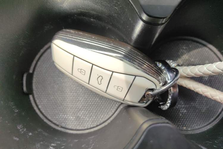 Used SOL E10X 2021 302 km Range Luxury Version 31.4 kWh Interior 1