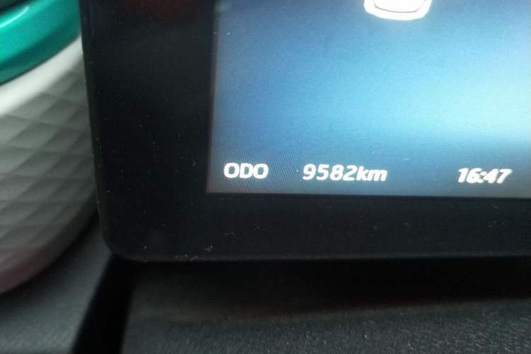Used SOL E10X 2021 302 km Range Fashion Edition 31.4 kWh Odometer Close Up