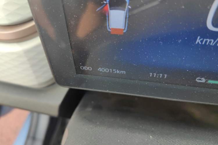 Used SOL E10X 2021 302 km Range Luxury Version 30.2 kWh Odometer Close Up