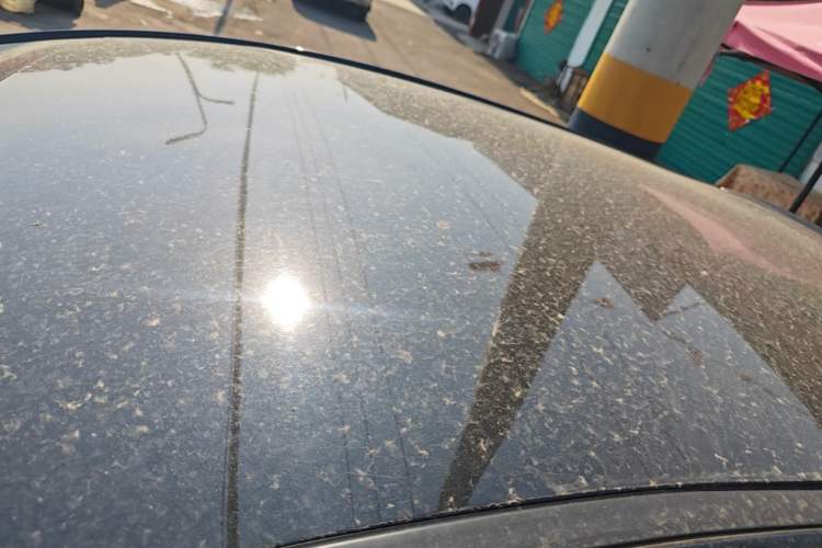 Used SOL E10X 2021 Jimei Edition 302km Fashionable Model Roof