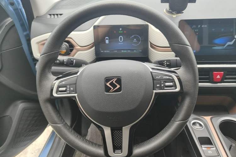 Used SOL E10X 2021 302 km Range Fashion Edition 31.4 kWh Steering Wheel
