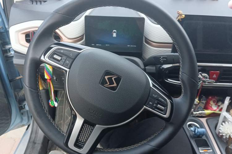 Used SOL E10X 2021 302 km Range Luxury Version 31.4 kWh Steering Wheel