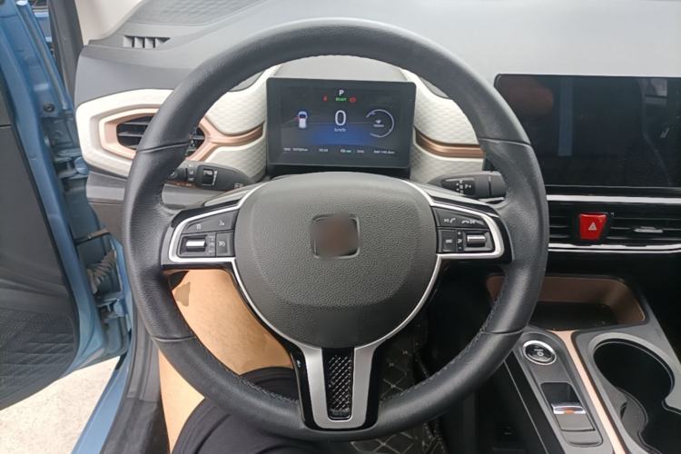 Used SOL E10X 2021 302 km Range Luxury Version 31.4 kWh Steering Wheel