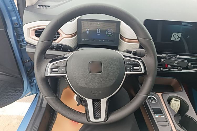 Used SOL E10X 2021 302 km Range Ultra-Advanced Version 31.4 kWh Steering Wheel