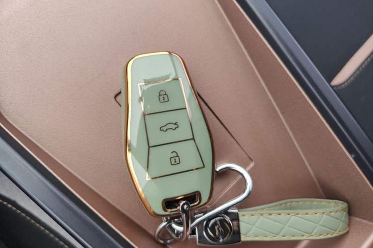 Used SOL E10X 2021 302 km Range Fashion Edition 31.4 kWh Vehicle Key