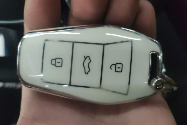 Used SOL E10X 2021 302 km Range Luxury Version 31.4 kWh Vehicle Key