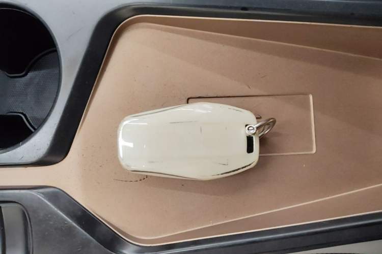 Used SOL E10X 2021 302 km Range Fashion Edition 30.2 kWh Vehicle Key