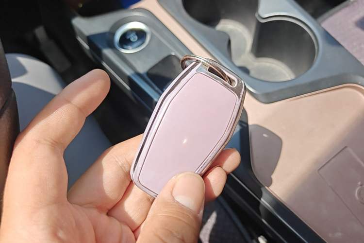 Used SOL E10X 2021 Jimei Edition 302km Fashionable Model Vehicle Key