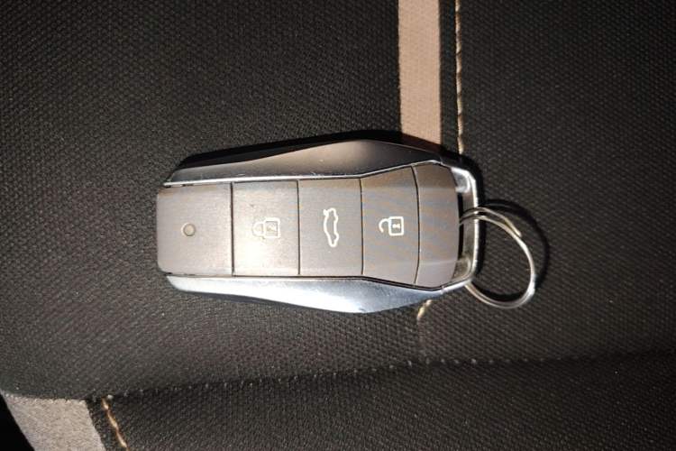 Used SOL E10X 2021 302 km Range Luxury Version 30.2 kWh Vehicle Key