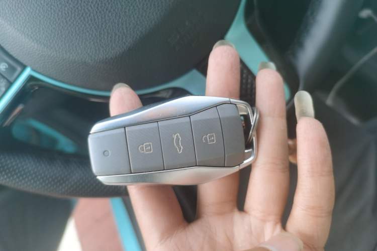 Used SOL E10X 2021 Jimei Edition 302km Fashionable Model Vehicle Key
