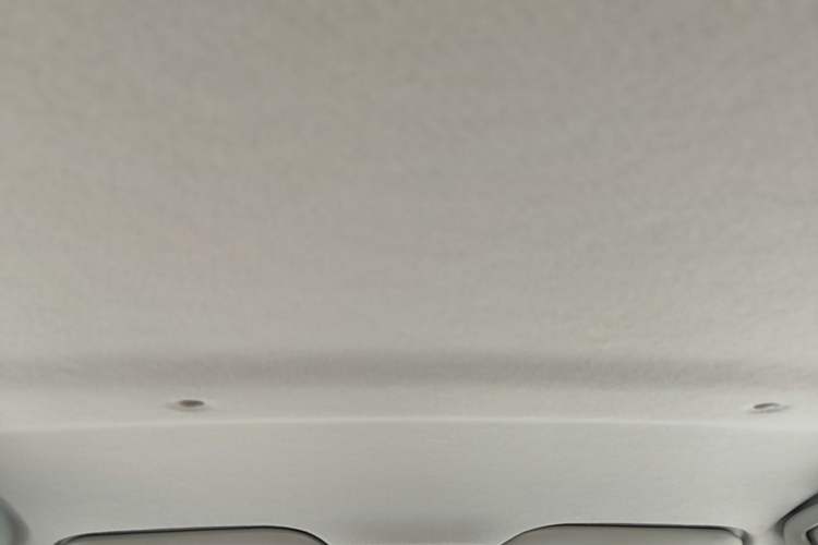 Used SOL E10X 2021 302 km Range Fashion Edition 31.4 kWh Headliner