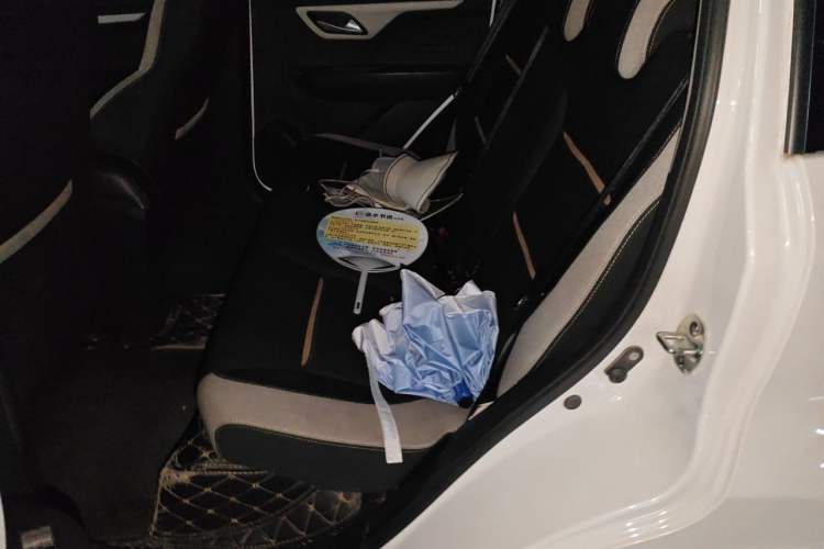 Used SOL E10X 2021 302 km Range Fashion Edition 31.4 kWh Left Rear Seat