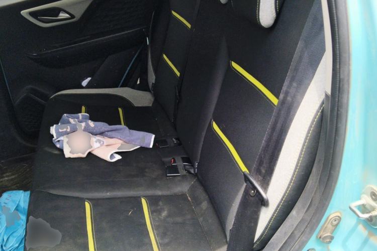 Used SOL E10X 2021 Jimei Edition 302km Luxury Model Left Rear Seat