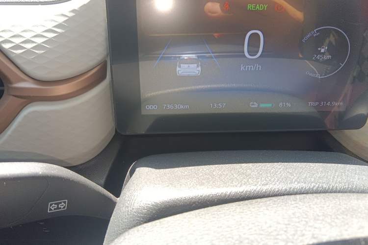 Used SOL E10X 2021 302 km Range Luxury Version 31.4 kWh Odometer Close Up