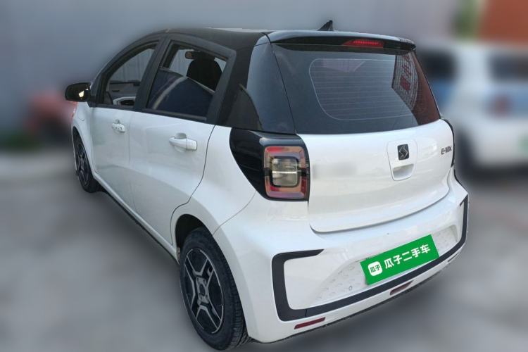 Used SOL E10X 2021 302 km Range Luxury Version 31.4 kWh Rear Left 45 Deg