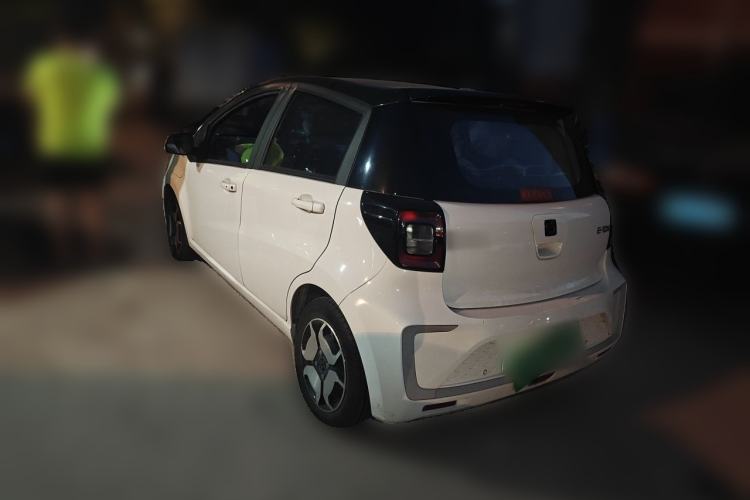 Used SOL E10X 2021 302 km Range Luxury Version 31.4 kWh Rear Left 45 Deg
