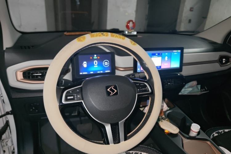 Used SOL E10X 2021 302 km Range Luxury Version 31.4 kWh Steering Wheel
