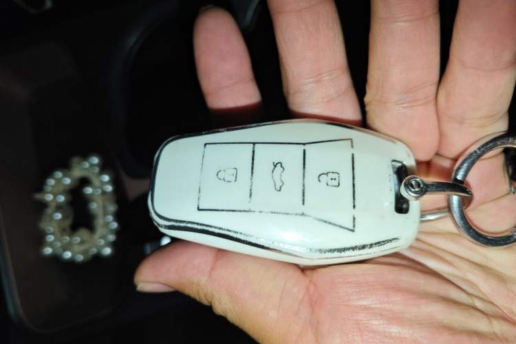 Used SOL E10X 2021 302 km Range Fashion Edition 31.4 kWh Vehicle Key