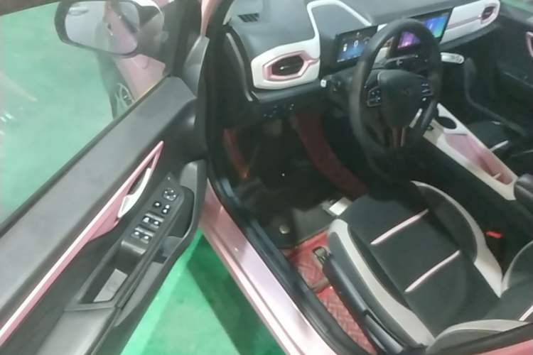 Used SOL E10X 2021 Jimei Edition 302km Luxury Model Driver Seat