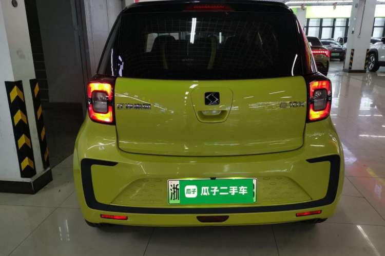 Used SOL E10X 2021 302 km Range Luxury Version 30.2 kWh Exterior 4