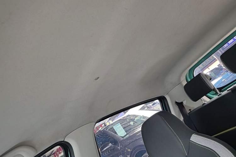 Used SOL E10X 2021 302 km Range Fashion Edition 31.4 kWh Headliner