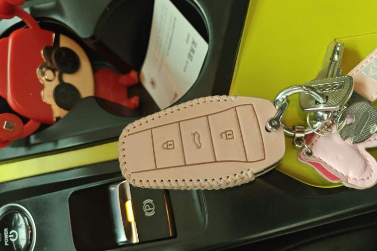 Used SOL E10X 2021 302km Range Superior Version 30.2 kWh Vehicle Key