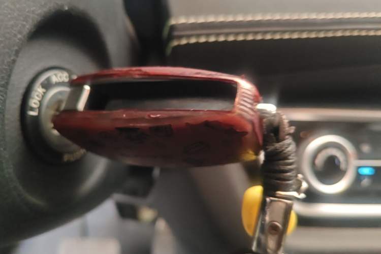 Used SOL E10X 2021 200km Classic Type Vehicle Key