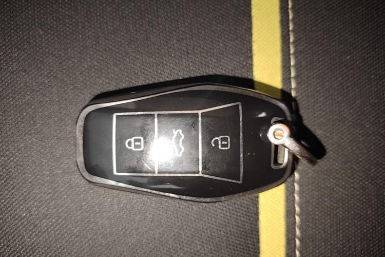 Used SOL E10X 2021 302 km Range Fashion Edition 31.4 kWh Vehicle Key