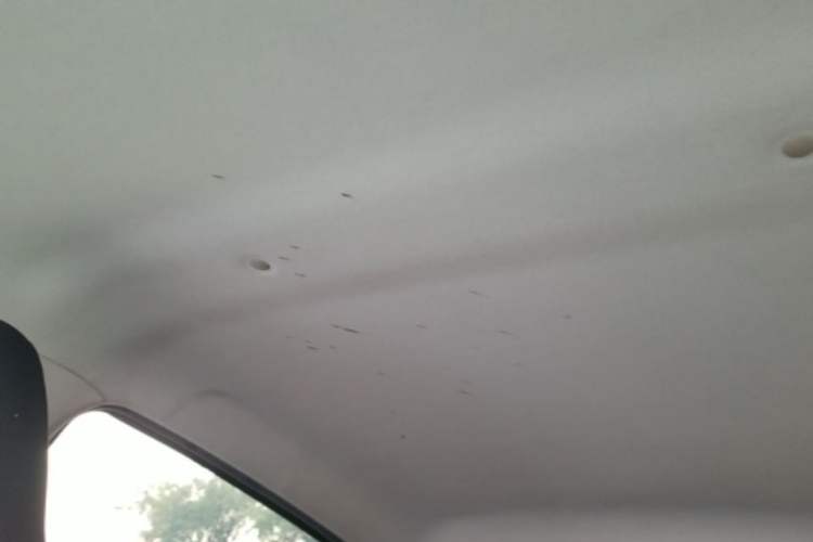 Used SOL E10X 2021 Jimei Edition 302km Luxury Model Headliner
