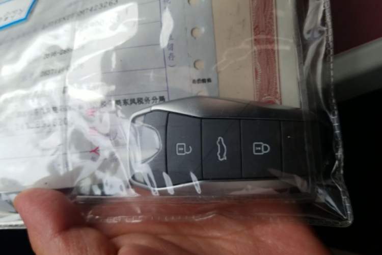 Used SOL E10X 2021 Jimei Edition 302km Luxury Model Interior 1