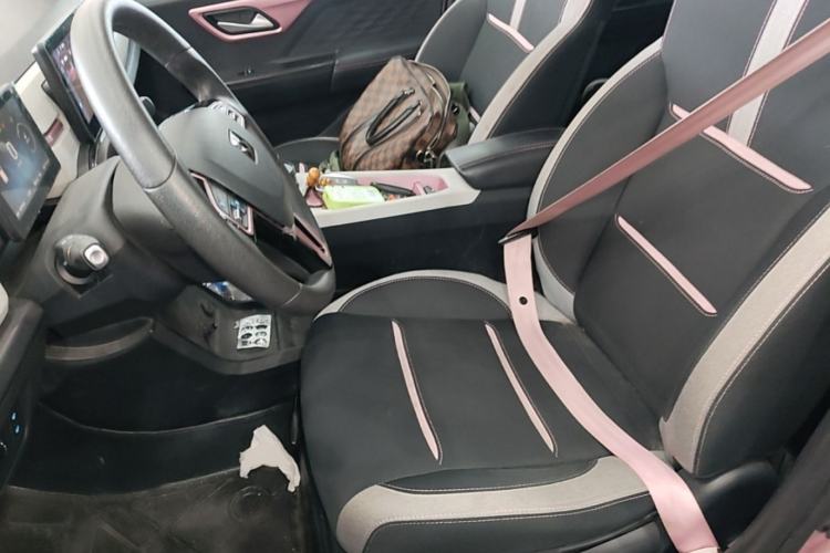 Used SOL E10X 2021 Jimei Edition 302km Fashionable Model Left Front Seat