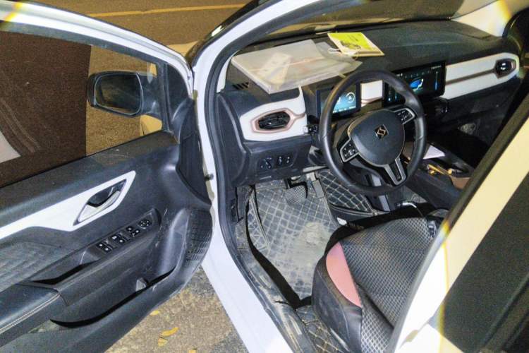 Used SOL E10X 2021 302 km Range Luxury Version 31.4 kWh Driver Seat