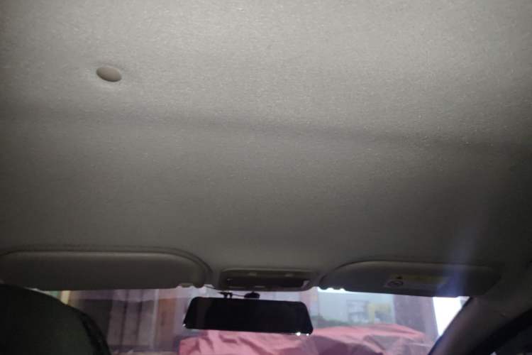 Used SOL E10X 2021 302 km Range Luxury Version 30.2 kWh Headliner