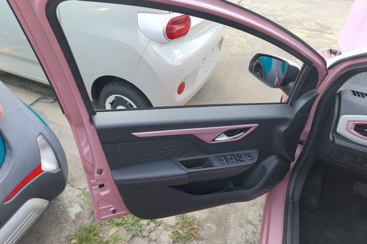 Used SOL E10X 2021 Jimei Edition 302km Fashionable Model Left Front Door Interior