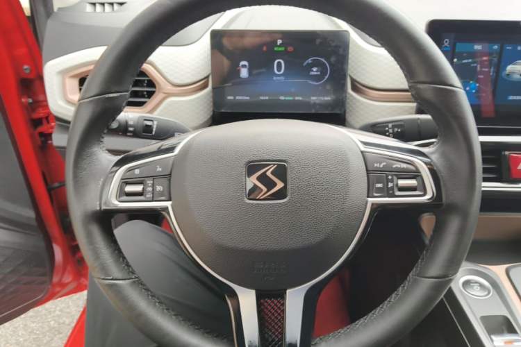 Used SOL E10X 2021 302 km Range Luxury Version 30.2 kWh Steering Wheel