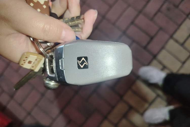 Used SOL E10X 2021 302 km Range Luxury Version 30.2 kWh Vehicle Key