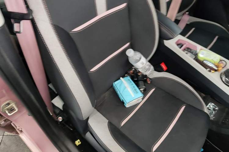 Used SOL E10X 2021 Jimei Edition 302km Fashionable Model Right Front Seat