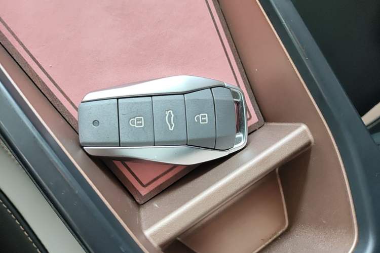 Used SOL E10X 2021 302 km Range Luxury Version 31.4 kWh Vehicle Key