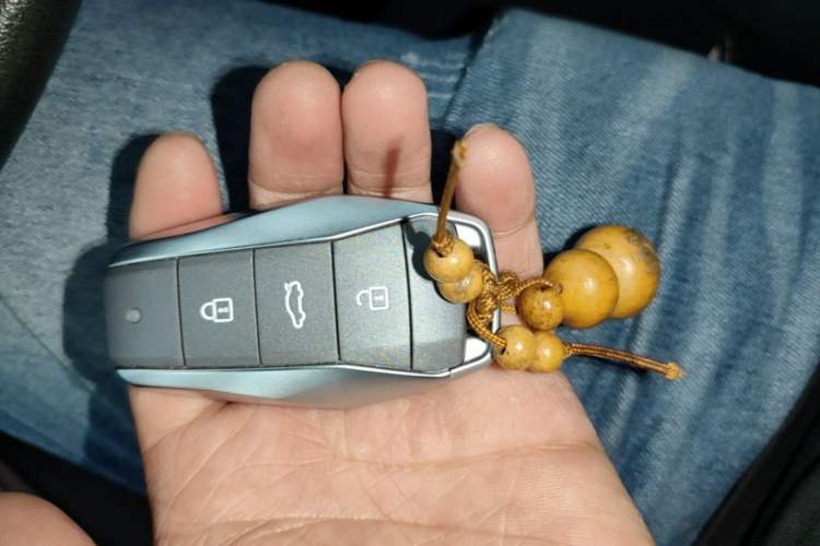 Used SOL E10X 2021 Jimei Edition 302km Fashionable Model Vehicle Key
