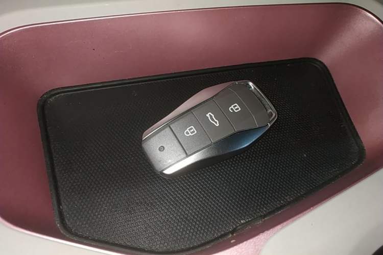 Used SOL E10X 2021 Jimei Edition 302km Luxury Model Vehicle Key