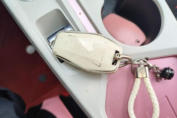 Used SOL E10X 2021 Jimei Edition 302km Fashionable Model Vehicle Key