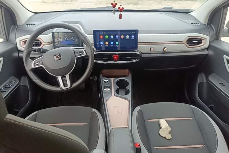 Used SOL E10X 2021 302 km Range Luxury Version 31.4 kWh Center Console