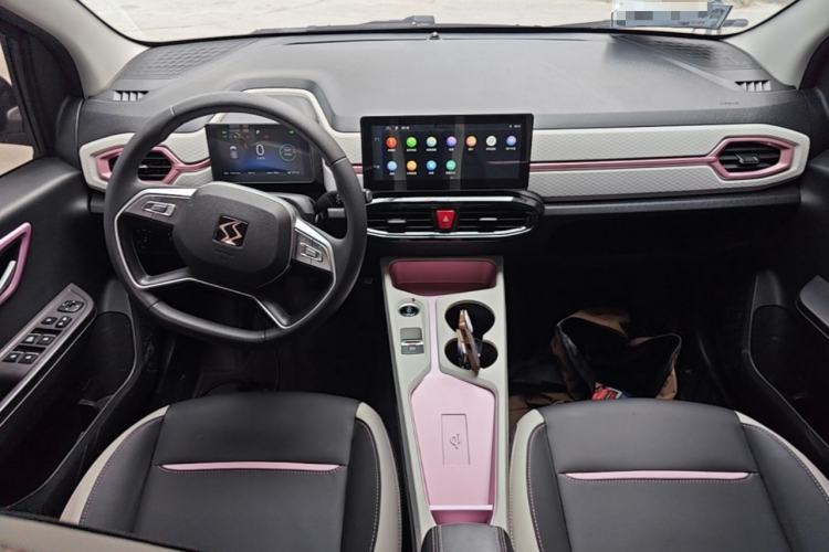 Used SOL E10X 2021 302 km Range Fashion Edition 31.4 kWh Center Console
