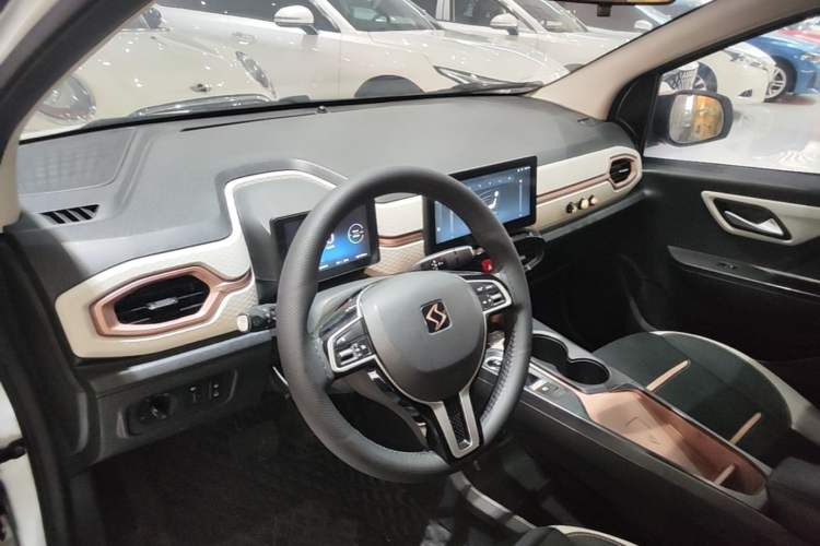 Used SOL E10X 2021 302 km Range Fashion Edition 31.4 kWh Center Console